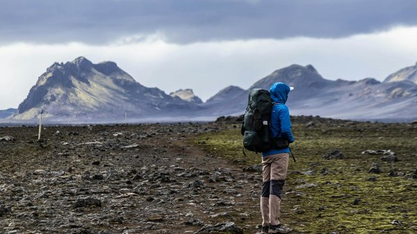 Quels sont les meilleurs spots pour une plongée avec les requins en Afrique du Sud?