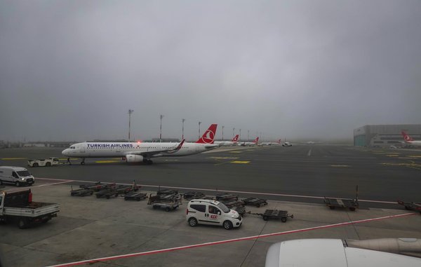 Quels sont les meilleurs chemins pour une randonnée dans les forêts de Transylvanie, Roumanie?